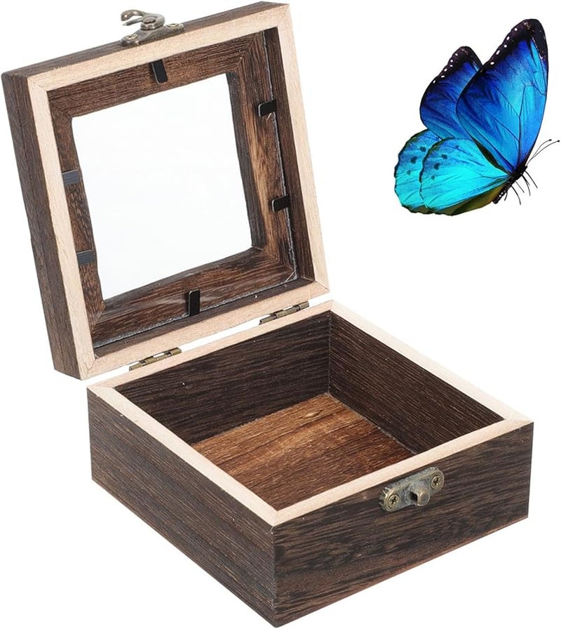 حافظة عرض خشب الباولونيا المتفحم مع غطاء شفاف قابل للقفل لمجموعات الحشرات والزهور والمجوهرات - Image 1